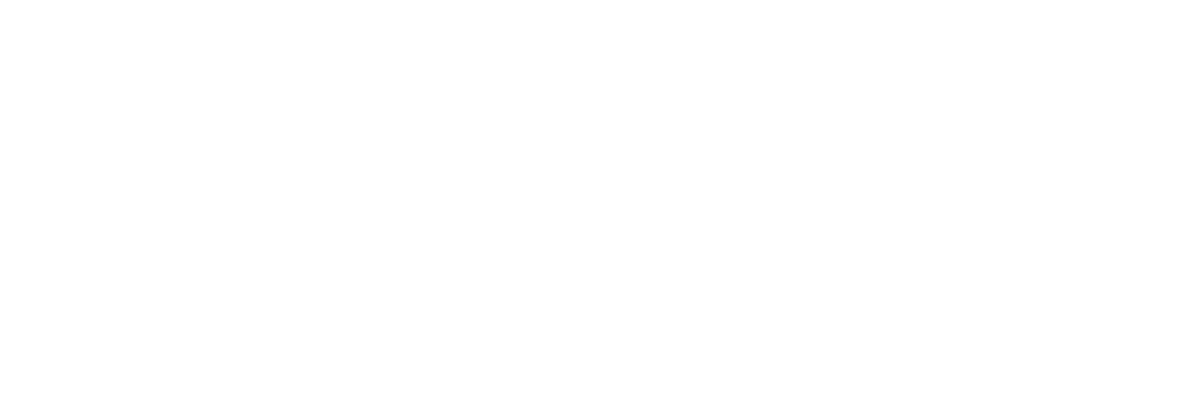 Neurorium Logo